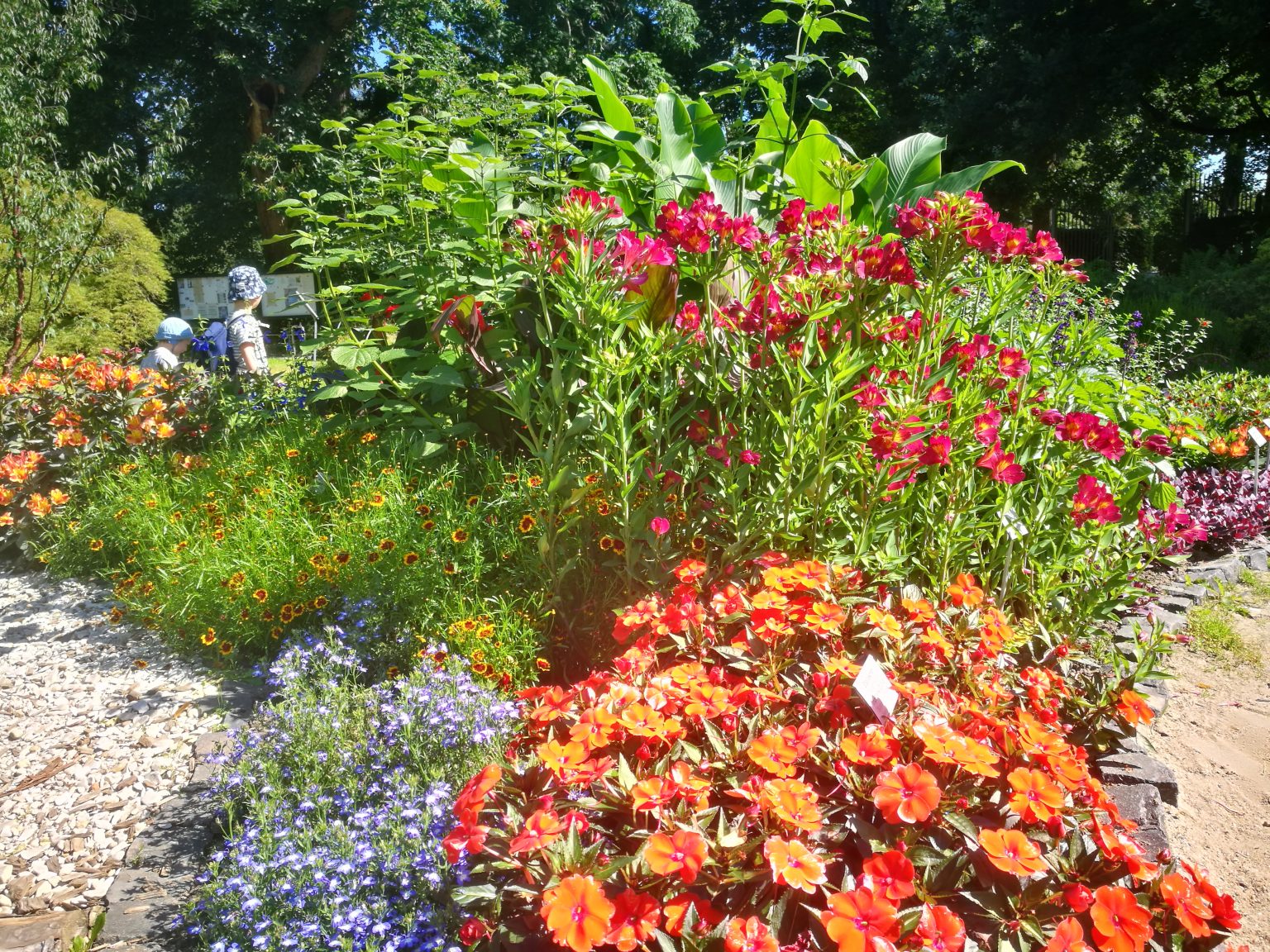 Botanischer Garten der WWU Münster Family Guide Münsterland