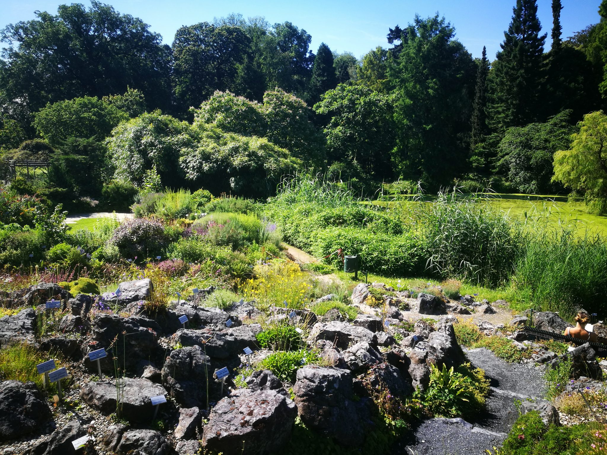 Botanischer Garten der WWU Münster Family Guide Münsterland