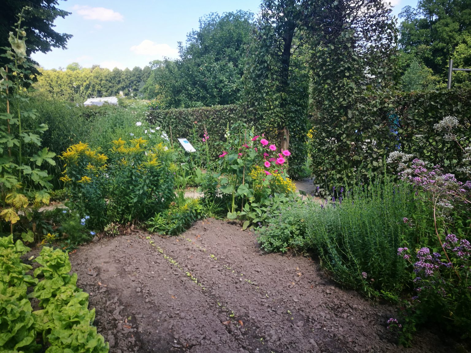 Botanischer Garten der WWU Münster Family Guide Münsterland